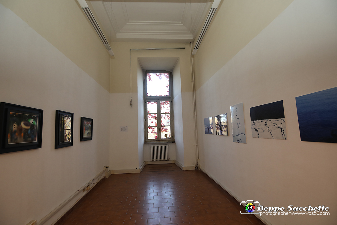 VBS_3933 - Paratissima 2021 - 17.ma Edizione.jpg